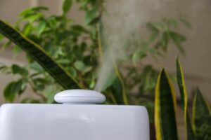 humidifier