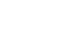 Horse gallop My-Jockey