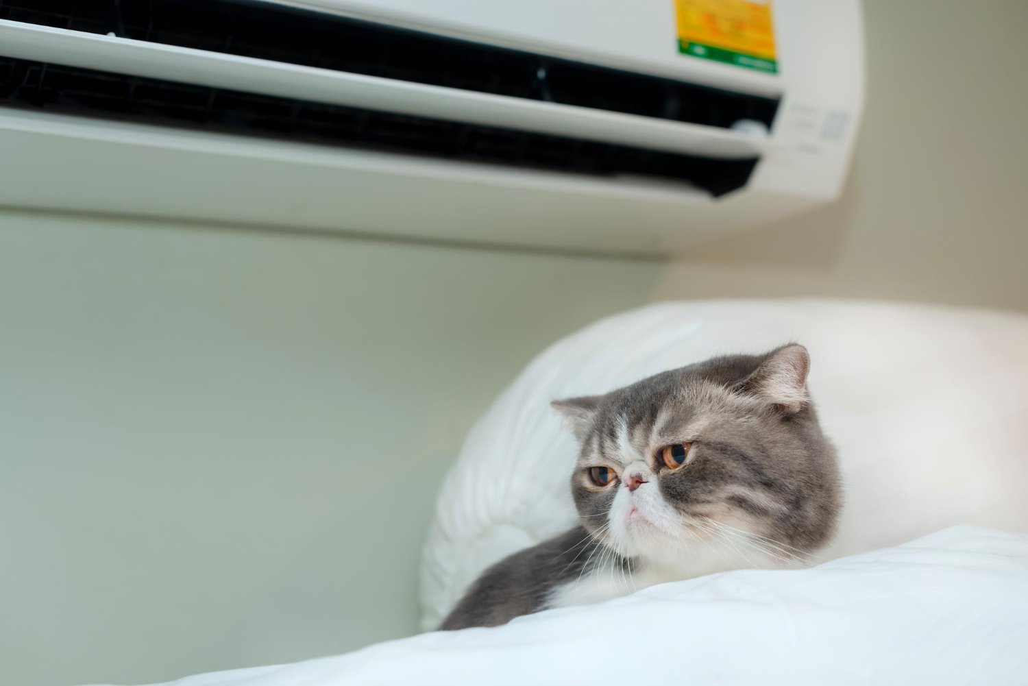 indoor air quality